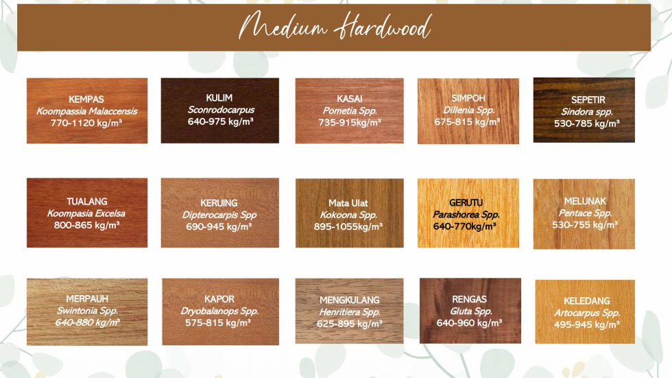 Species of Woods EZ Lumber Sdn. Bhd.